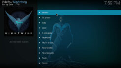 Nightwing Kodi Addon Main Menu