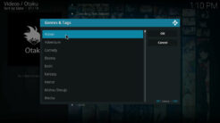 Otaku Kodi Addon Genres & Tags Section