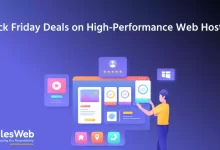 Black Friday Deals on High-Performance Web Hosting